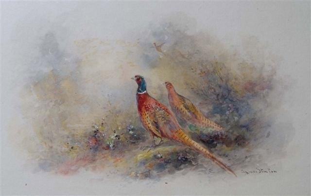 Appraisal: JAMES STINTON British - Pheasants in Undergrowth signed lower right