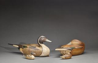 Appraisal: Two Pintail Pairs Anthony G Murray Two Pintail PairsAnthony G