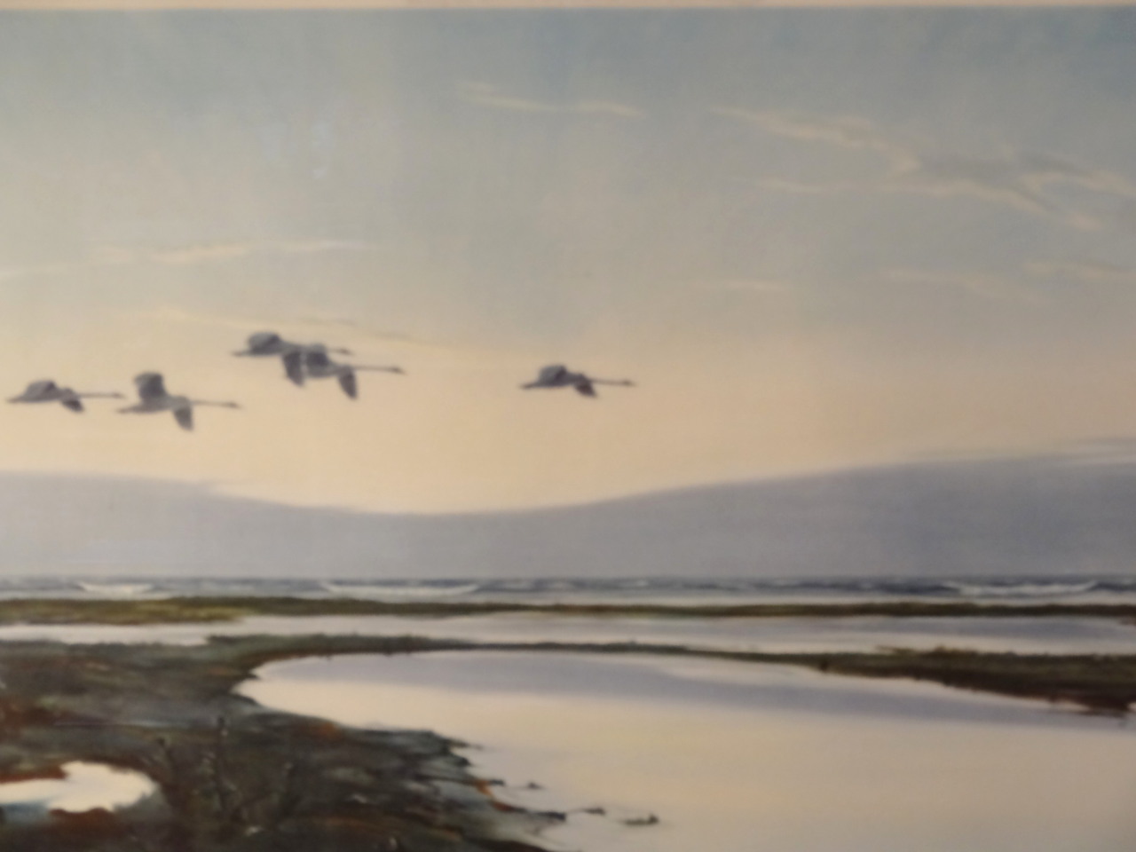 Appraisal: Peter Scott - High Tide-Wild Swans print signed to the