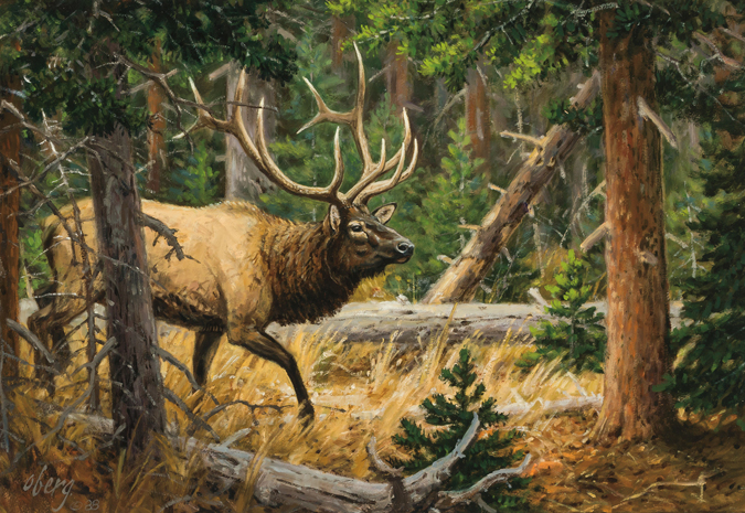 Appraisal: RALPH E OBERG American b Elk in a Wooded Landscape