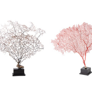 Appraisal: A Black Coral Branch Specimen and Red Coral Specimen Height