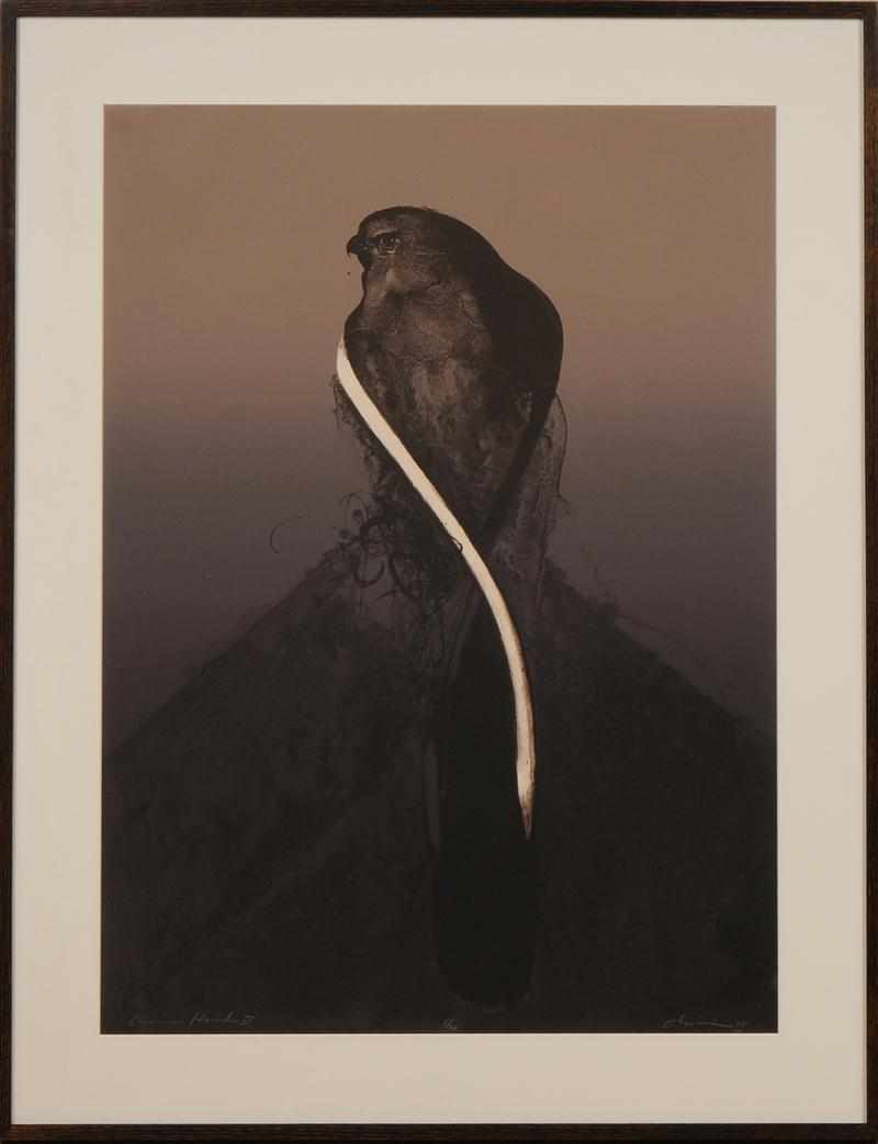 Appraisal: NATHAN OLIVEIRA - ACOMA HAWK IV Color lithograph titled lower