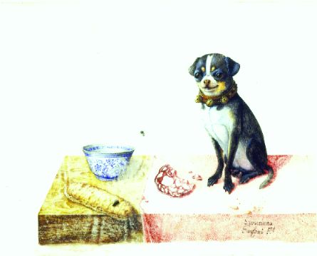 Appraisal: Italian School th Century Pug on a Table with Bread