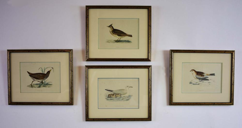 Appraisal: FOUR ORNITHOLOGICAL LITHOGRAPHS TH CENTURY Each depicting a bird titled