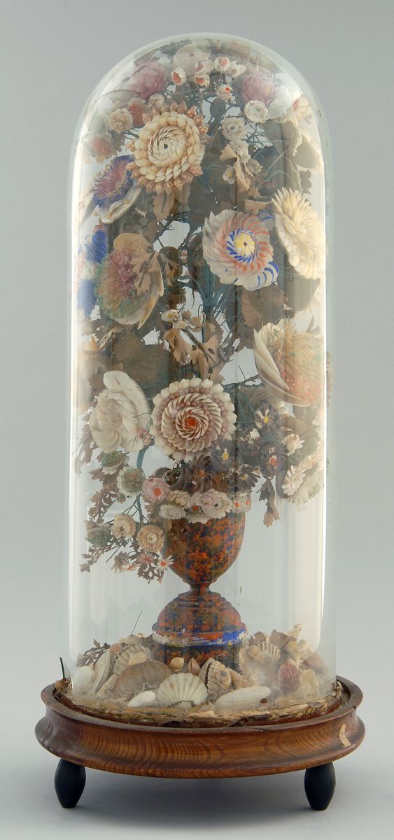 Appraisal: SHELL SCULPTURE BENEATH GLASS DOME th CenturyDepicting a floral arrangement