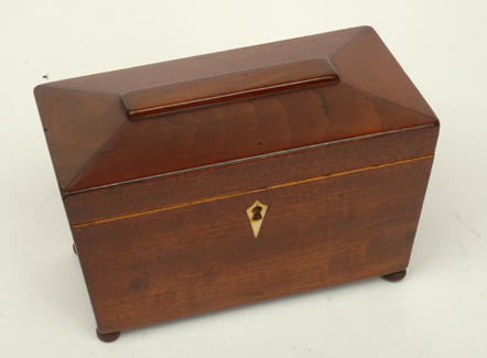 Appraisal: A WILLIAM IV SARCOPHAGUS FORM MAHOGANY TEA CADDIE Circa