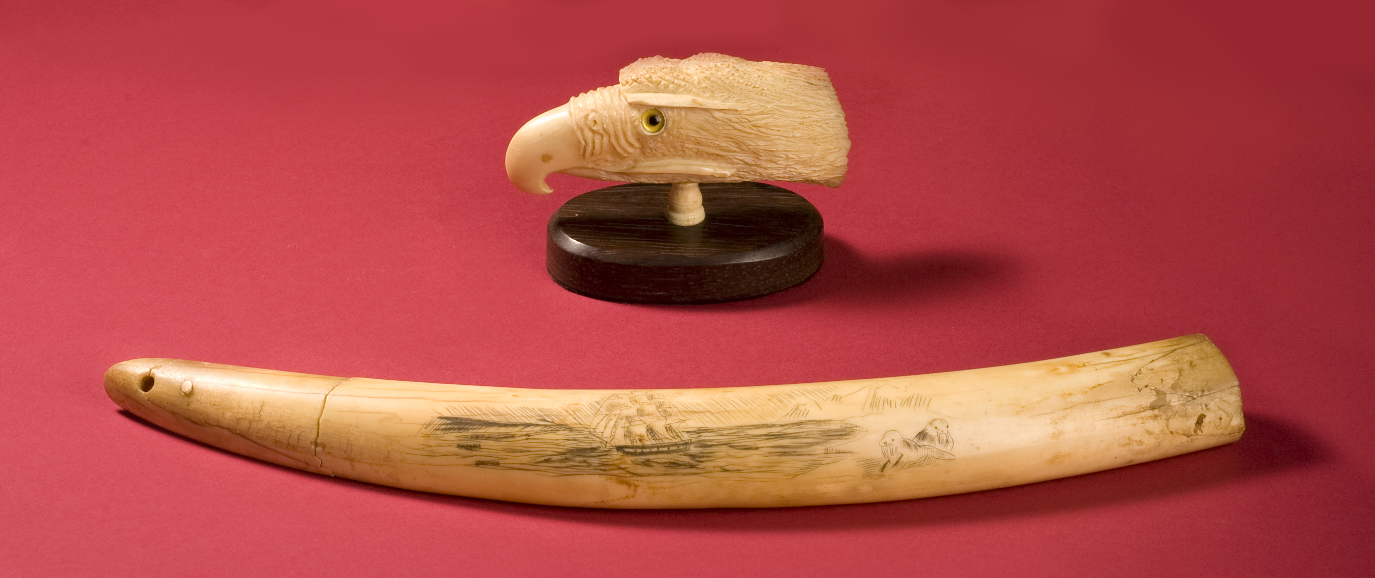 Appraisal: SPERM WHALE'S TOOTH CARVED IN THE FORM OF AN EAGLE'S