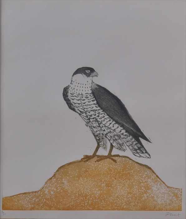 Appraisal: ELIZABETH FRINK - PEREGRINE FALCON Aquatint in color x plate