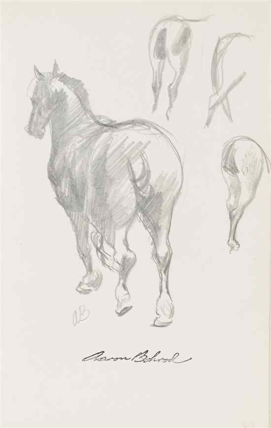 Appraisal: Aaron Bohrod American - Study of a Horse pencil on