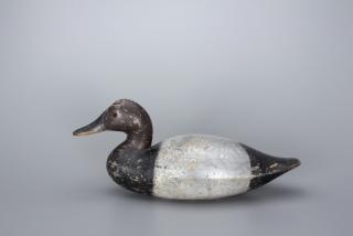 Appraisal: Early Canvasback Drake Early Canvasback Drake c in long An