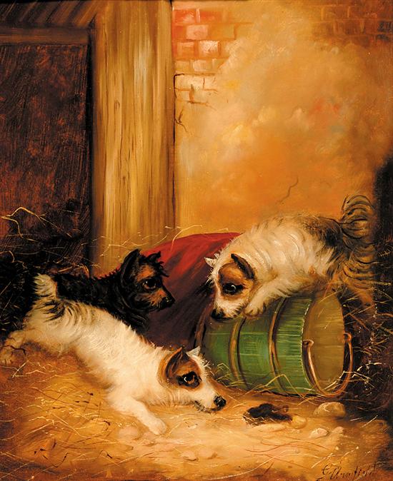 Appraisal: George Armfield British - TERRIERS RATTING IN A BARN oil