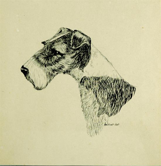 Appraisal: Antoinette Francesca Rhett South Carolina - WIREHAIR FOX TERRIER lithograph