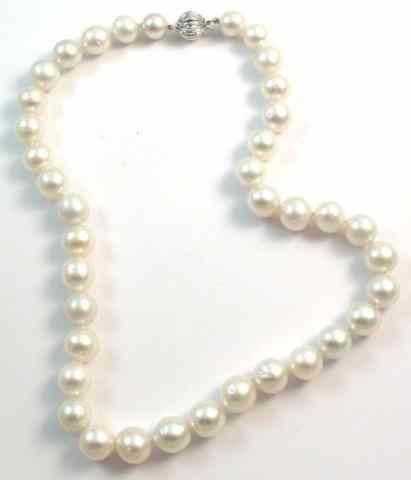 Appraisal: PRINCESS LENGTH SOUTH SEA PEARL NECKLACE inches in length strung