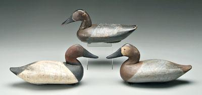 Appraisal: Three canvasback duck decoys one with dark brown head repainted