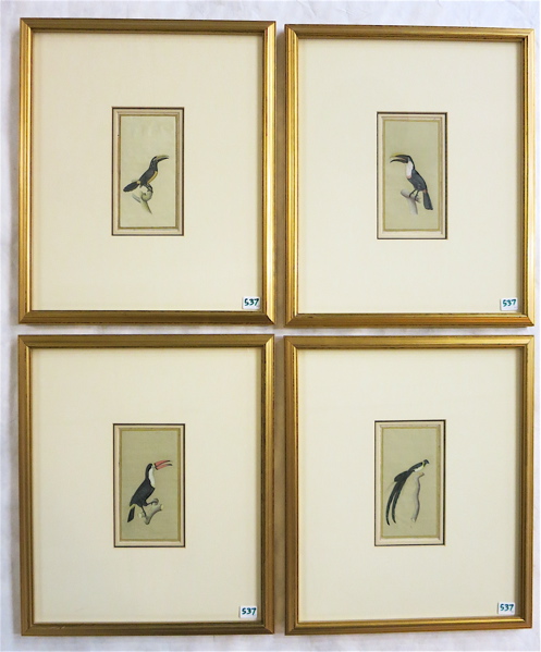 Appraisal: FOUR INDIA COMPANY SCHOOL ORNITHOLOGICAL GOUACHES ON PAPER openings measure