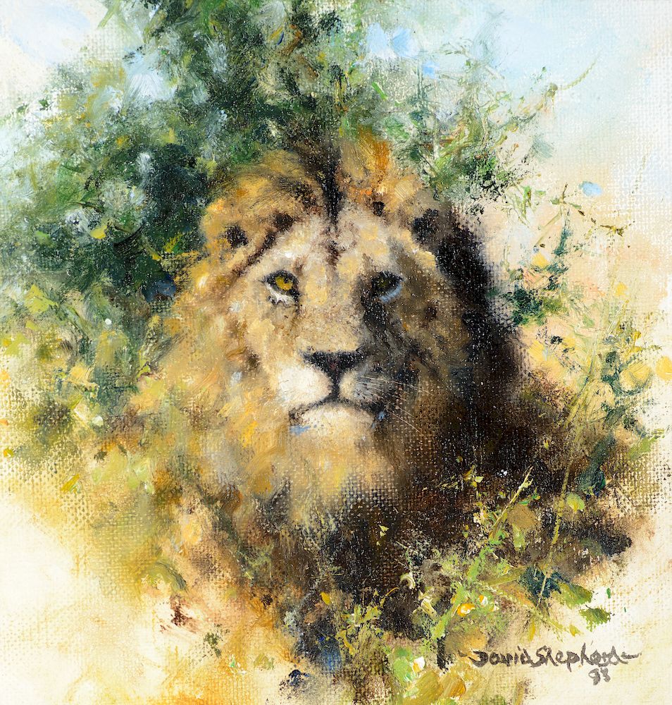 Appraisal: David Shepherd Lion Exclusive on Bidsquare DAVID SHEPHERD Lion oil