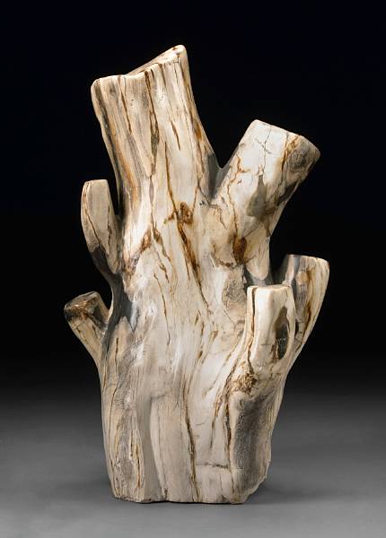 Appraisal: Sculptural Petrified Wood Log Indeterminate species Miocene Indonesia A trunk