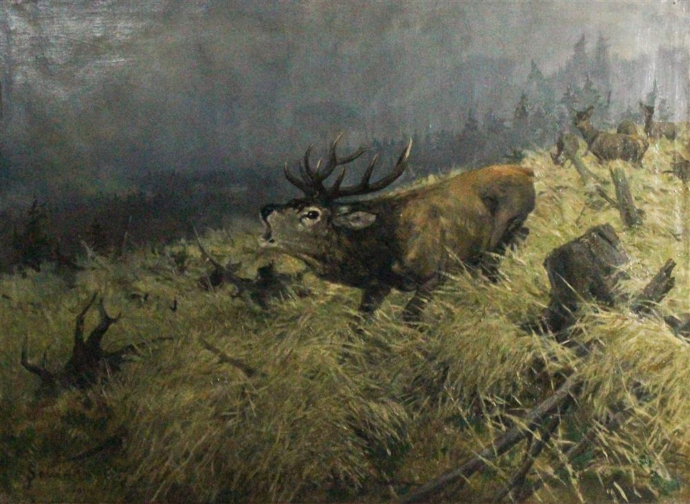 Appraisal: KAROL SOVANKA HUNGARIAN - STAG BRAYING Oil on canvas x