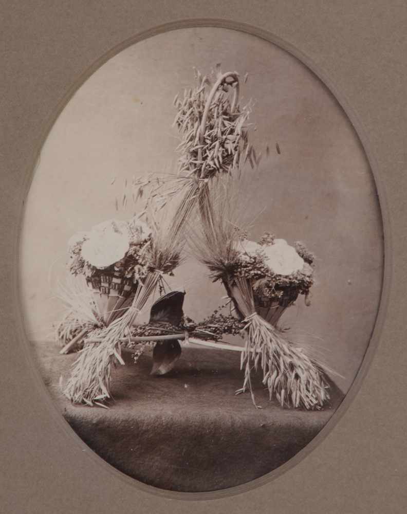 Appraisal: WILLIAM DELIUS WATERBURY CT FLORAL ARRANGEMENT Toned albumen print According