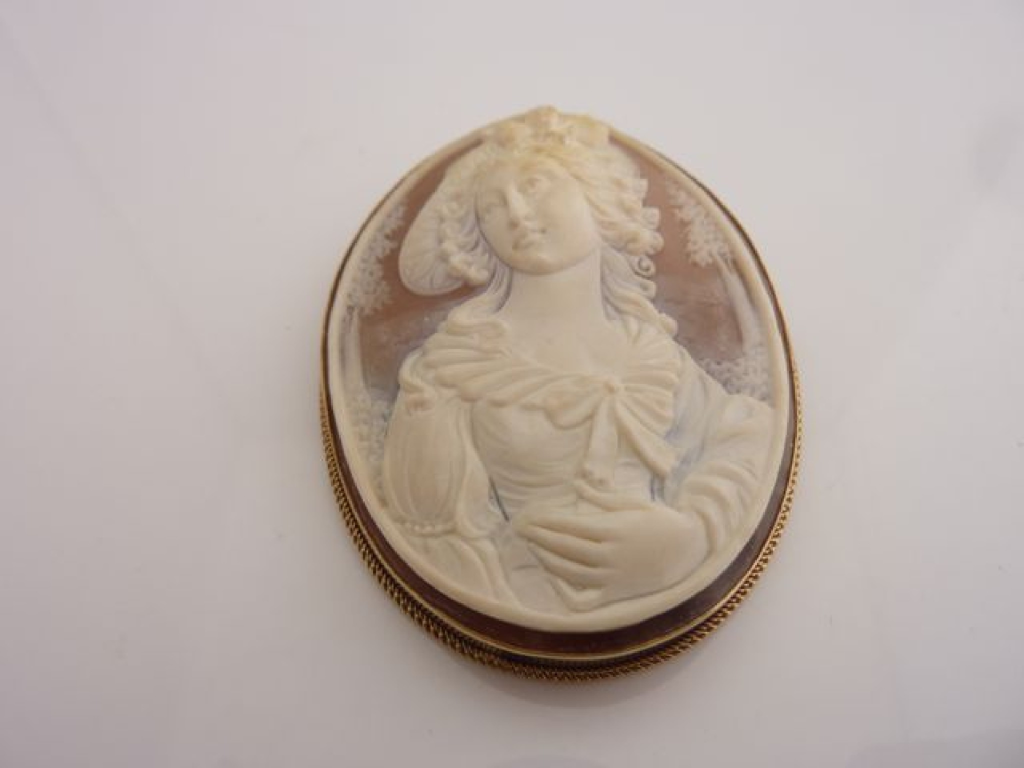 Appraisal: A shell cameo brooch Birmingham mounted with a ct gold