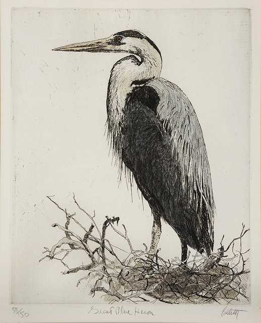 Appraisal: JOHN COLLETTE b 'Great Blue Heron' signed inscribed and No