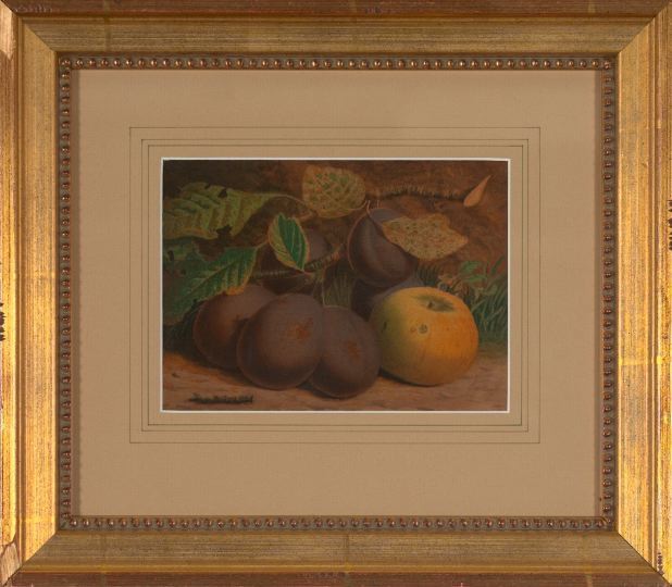 Appraisal: American School th Century Apple and Plums chromolithograph sight -