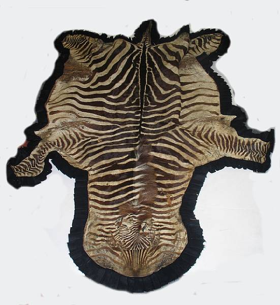 Appraisal: A zebra hide rug greatest length ft greatest width ft