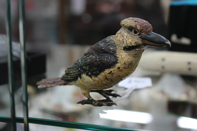 Appraisal: AN OLD AUSTRIAN COLD PAINTED BRONZE SCULPTURE OF A KOOKABURRA