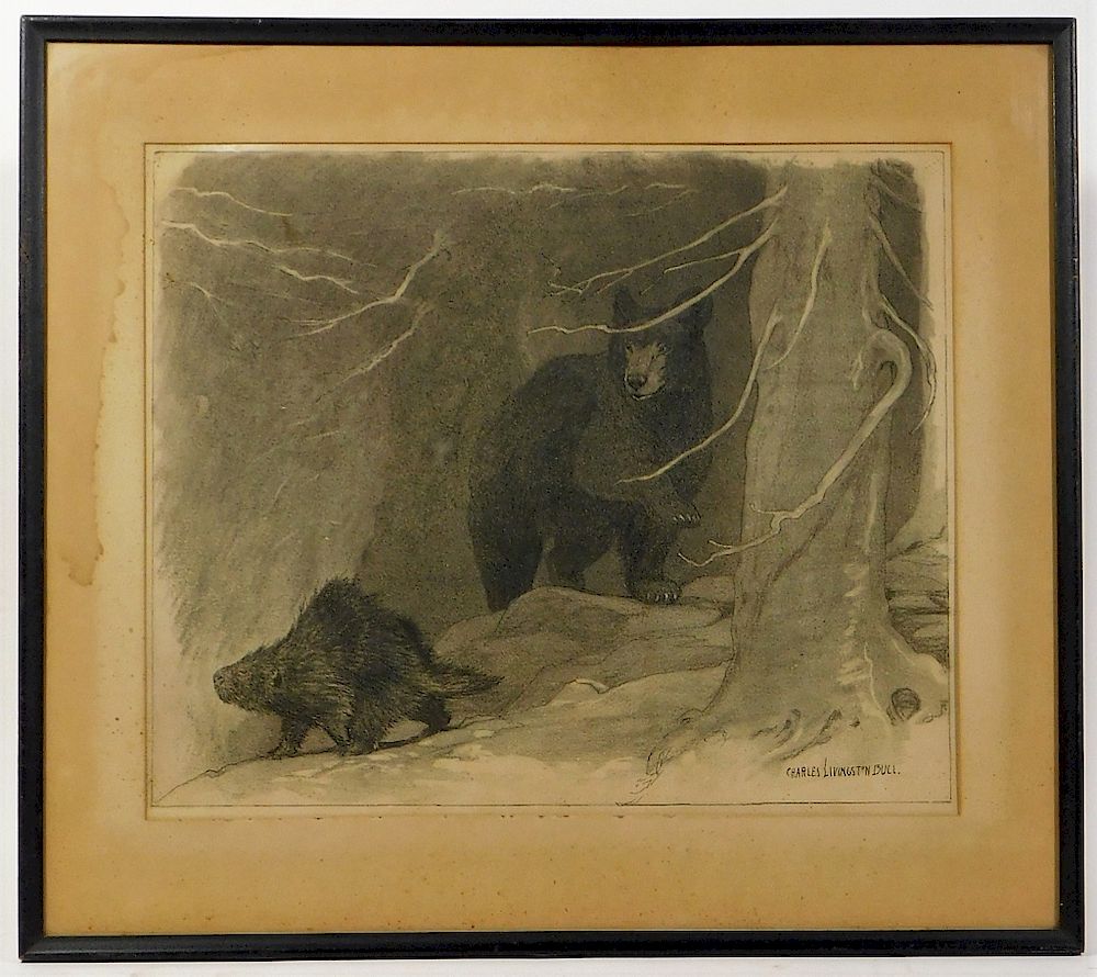 Appraisal: Charles Livingston Bull Charcoal Bear Illustration Charles Livingston Bull United