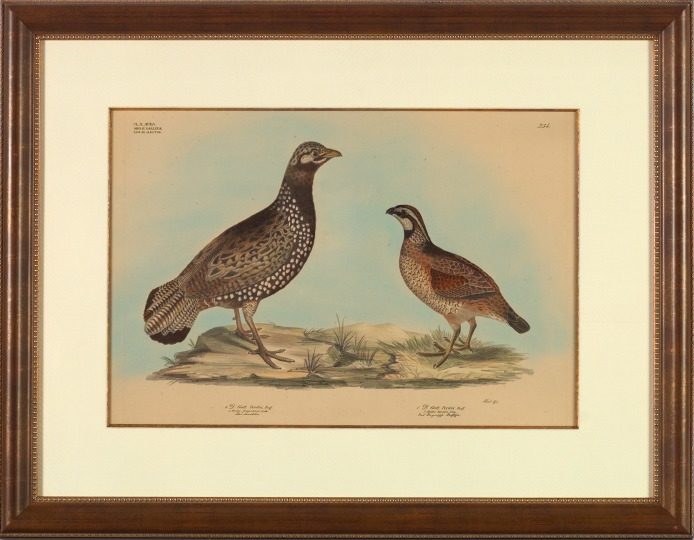 Appraisal: American School th Century Quail and Partridge chromolithograph sight -