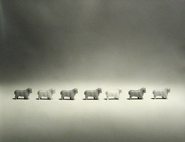 Appraisal: Dale Kistemaker American born Sheep from The Village Gelatin silver