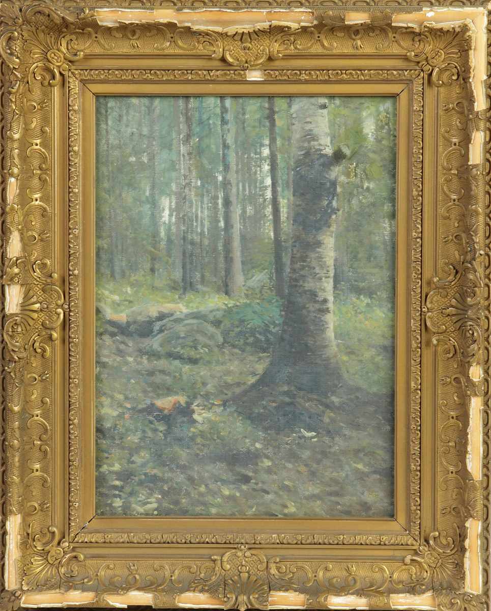 Appraisal: William Derrick American - ''The Old Birch'' Sgn Lower left