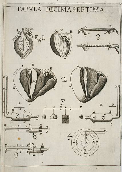 Appraisal: BORELLI GIOVANNI ALFONSO - De motu animalium Rome Angelo Bernabo