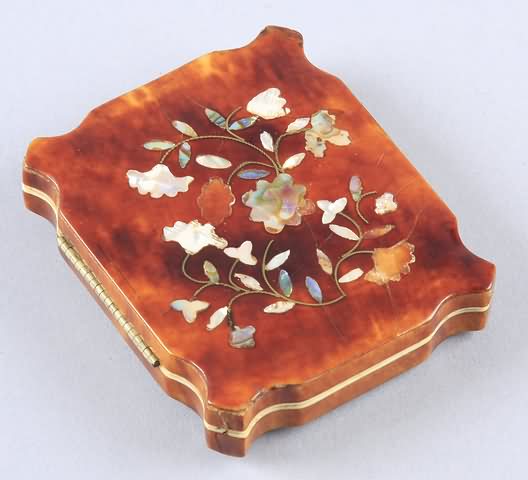 Appraisal: Ninth plate premium case with mother of pearl floral inlay