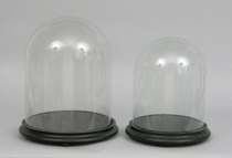 Appraisal: Two Medium Sized Bell Jars with Bases Dome shaped bell