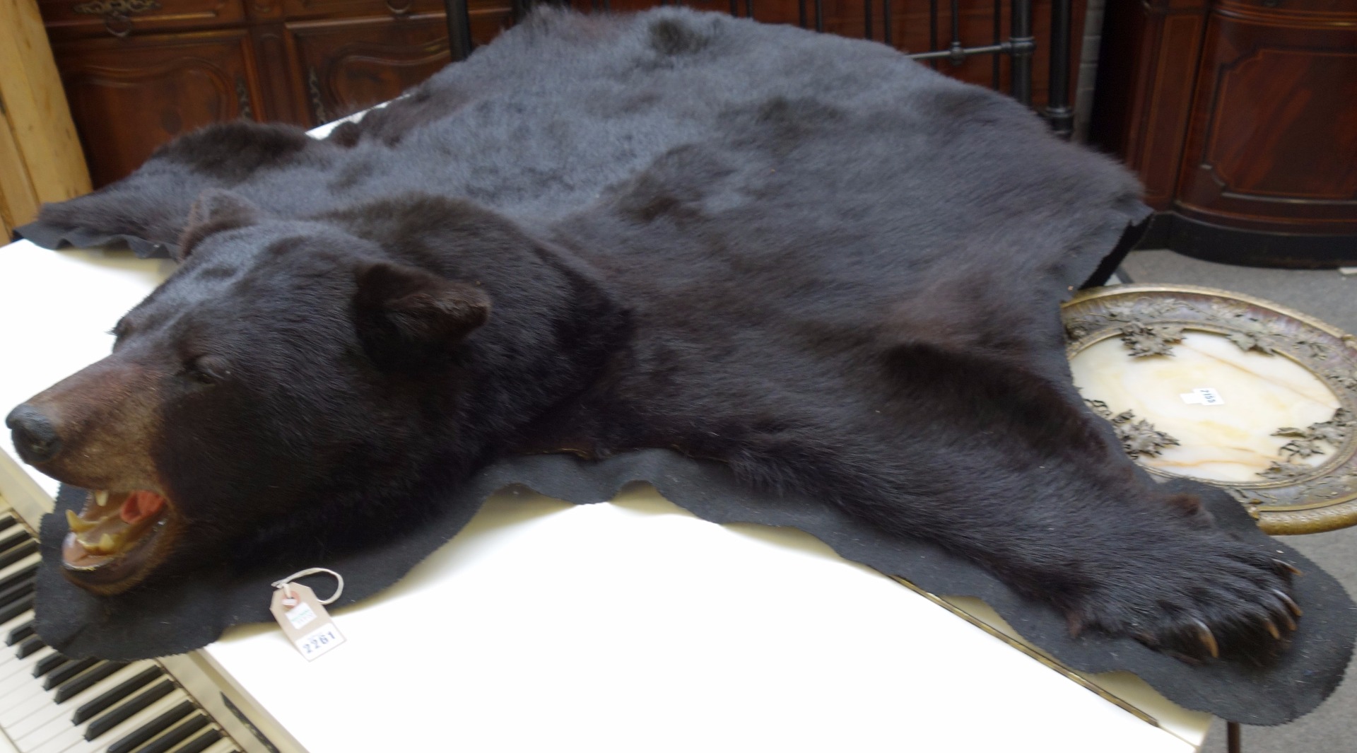 Appraisal: Taxidermy a black bear rug with full skull mount and