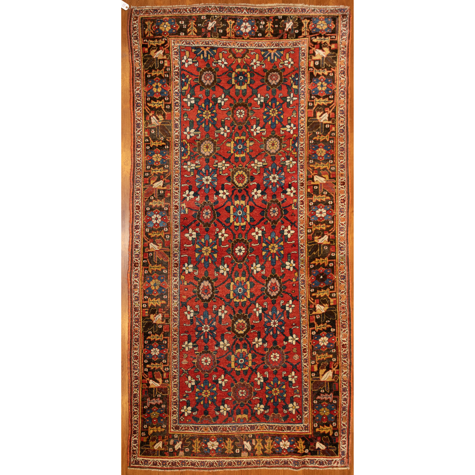 Appraisal: ANTIQUE BIJAR RUG PERSIA X First quarter- th century hand-knotted