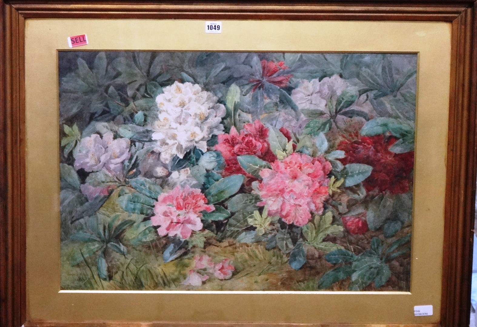 Appraisal: Sophia Miller th th century Still life of Rhododendron blooms