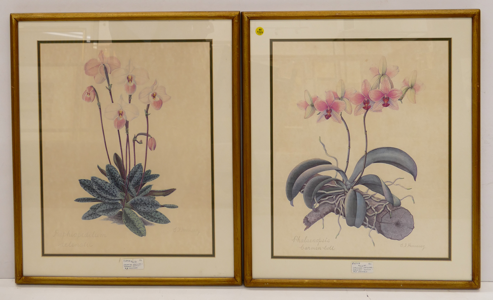 Appraisal: Pair Framed Botanical Prints- x ''