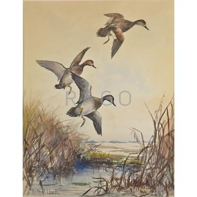 Appraisal: ROLAND H CLARK American - Watercolor on paper of ducks