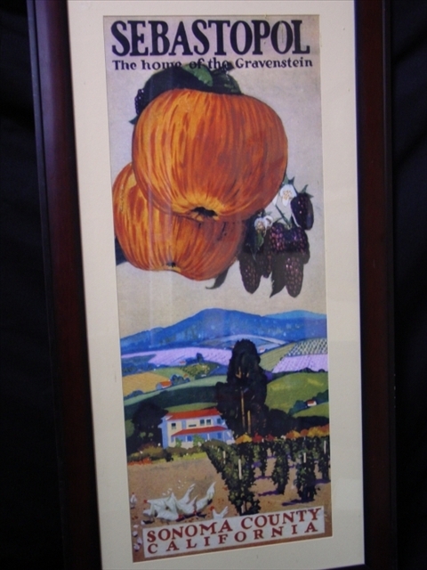 Appraisal: VINTAGE STYLE APPLE AD OF SONOMA CALIFORNIA MATTED AND FRAMED