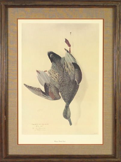 Appraisal: After George Louis Viavant American Louisiana - Hanging Gadwall Drake