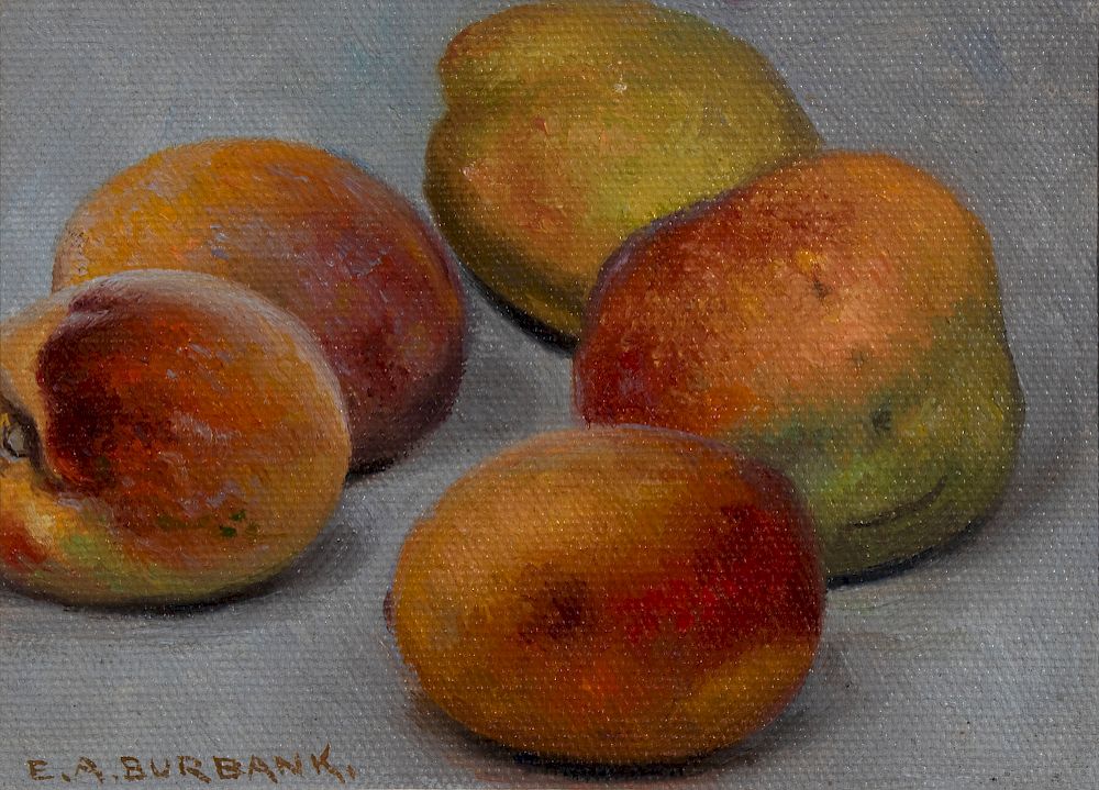 Appraisal: E A Burbank Untitled Still Life with Peaches ELBRIDGE AYER