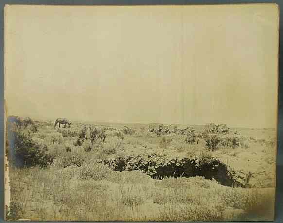 Appraisal: Curtis Edward Sheriff American - photograph of horses and stagecoaches