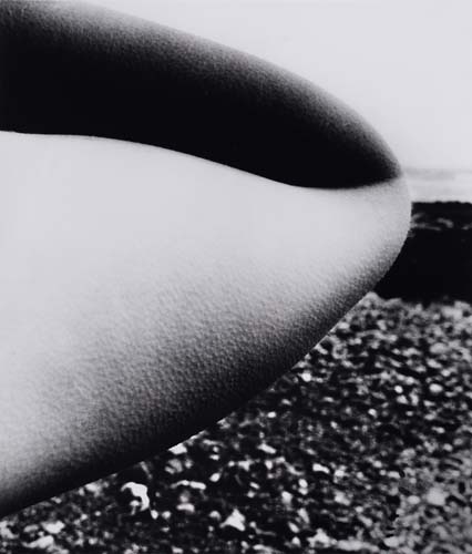 Appraisal: BRANDT BILL - Untitled nude elbow Silver print x inches