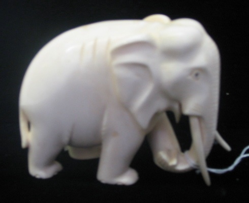 Appraisal: SOLID IVORY HAND CARVED AFRICAN ELEPHANT in long in tall