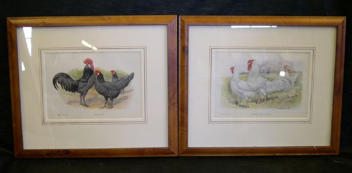 Appraisal: After Edwin Megargee American - Roosters pair of offset chromolithographs