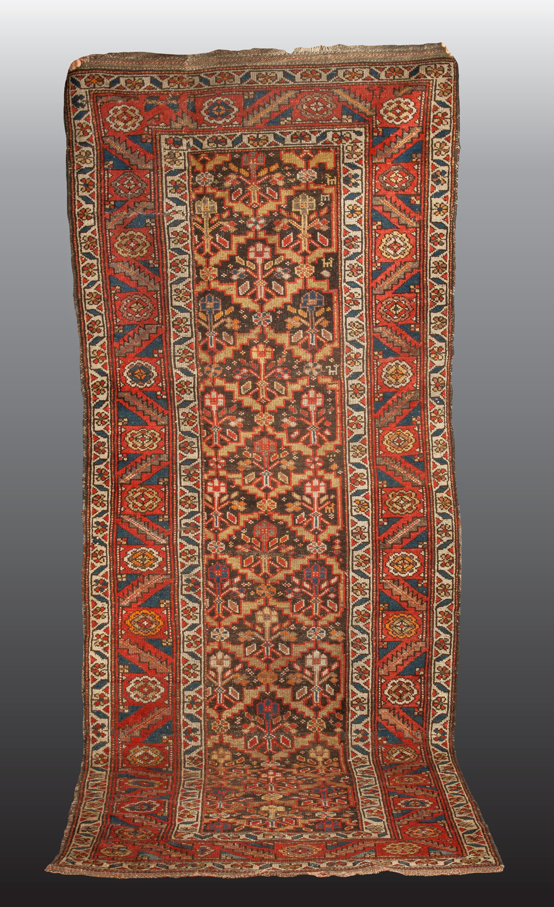 Appraisal: Hamadan Runner Early th cent