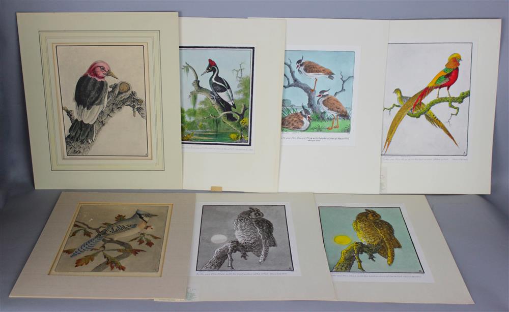 Appraisal: BENSON MOORE AMERICAN - SEVEN COLORED BIRD PRINTS Prints Prints