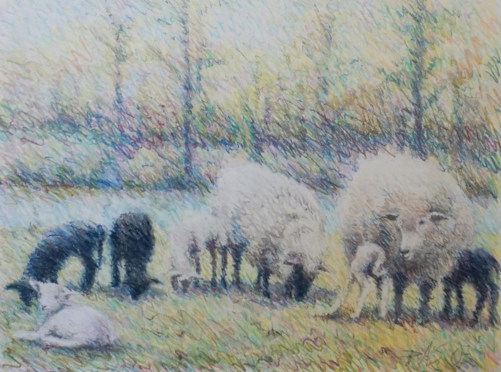 Appraisal: th st Century School Sheep in a Field Pastel on